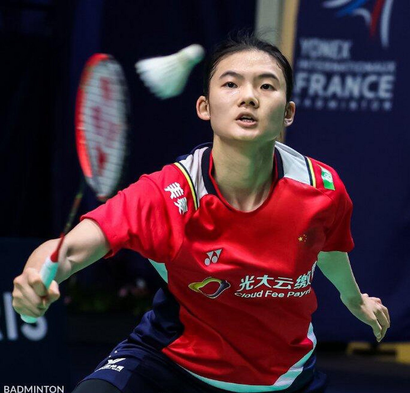 他们不仅有 他们不仅有