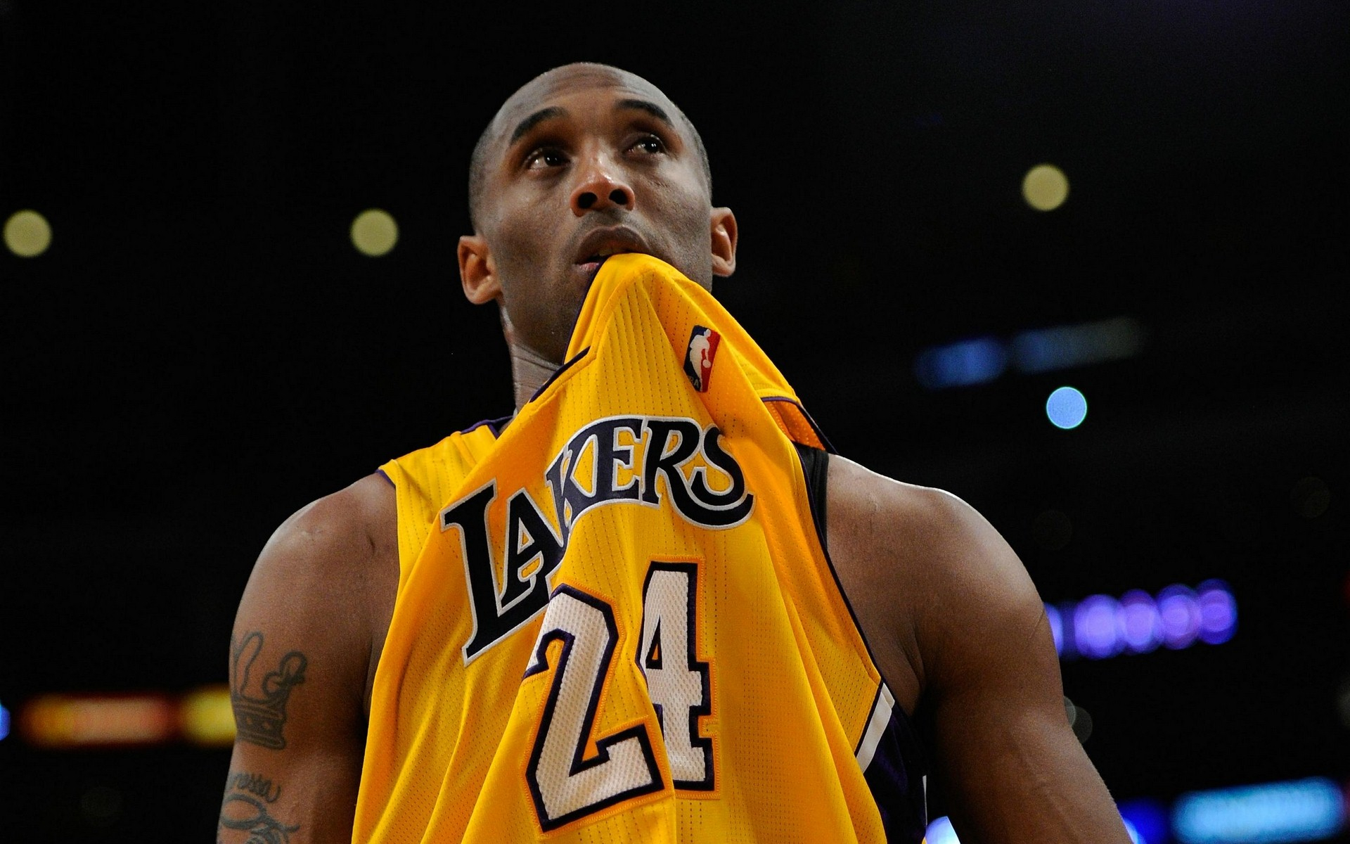 方公告获取 方公告获取